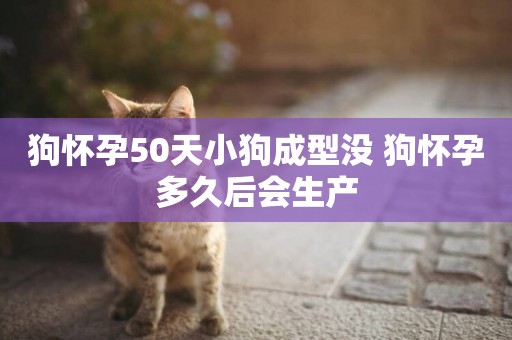 狗懷孕50天小狗成型沒 狗懷孕多久后會生產