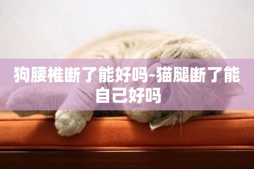 狗腰椎斷了能好嗎-貓腿斷了能自己好嗎