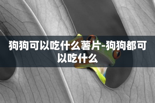 狗狗可以吃什么薯片-狗狗都可以吃什么