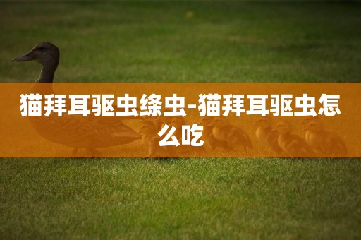 貓拜耳驅蟲絳蟲-貓拜耳驅蟲怎么吃