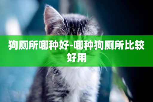 狗廁所哪種好-哪種狗廁所比較好用