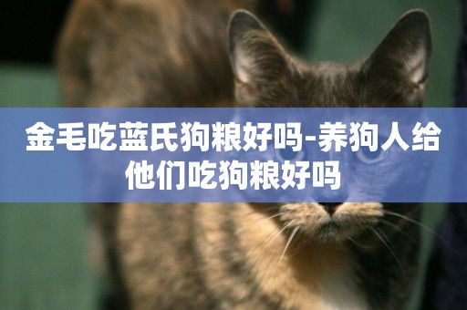 金毛吃藍氏狗糧好嗎-養狗人給他們吃狗糧好嗎