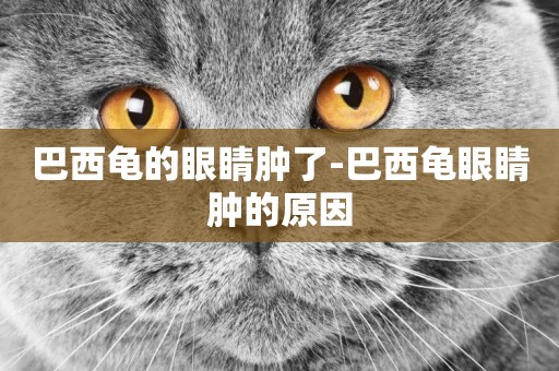 巴西龜的眼睛腫了-巴西龜眼睛腫的原因
