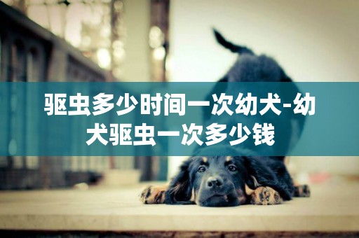 驅蟲多少時間一次幼犬-幼犬驅蟲一次多少錢