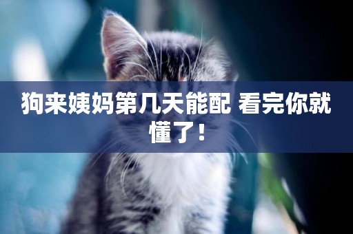 狗來姨媽第幾天能配 看完你就懂了！