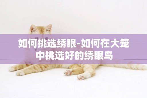 如何挑選繡眼-如何在大籠中挑選好的繡眼鳥