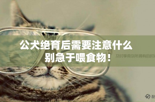 公犬絕育后需要注意什么 別急于喂食物！