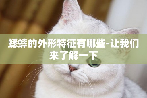 蟋蟀的外形特征有哪些-讓我們來了解一下