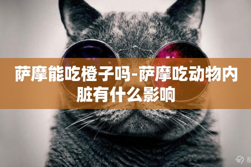 薩摩能吃橙子嗎-薩摩吃動物內臟有什么影響