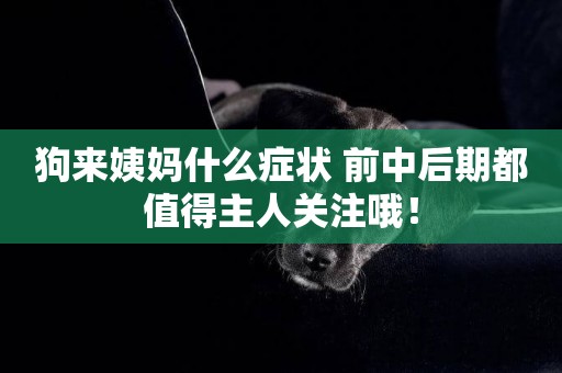 狗來姨媽什么癥狀 前中后期都值得主人關注哦！