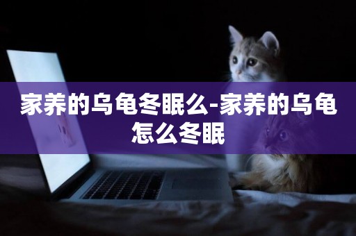 家養的烏龜冬眠么-家養的烏龜怎么冬眠