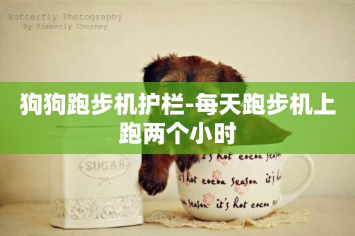 狗狗跑步機護欄-每天跑步機上跑兩個小時