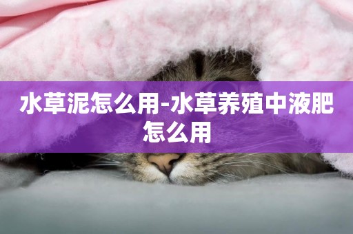 水草泥怎么用-水草養殖中液肥怎么用