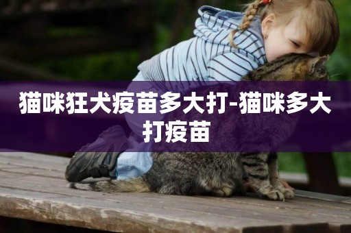 貓咪狂犬疫苗多大打-貓咪多大打疫苗