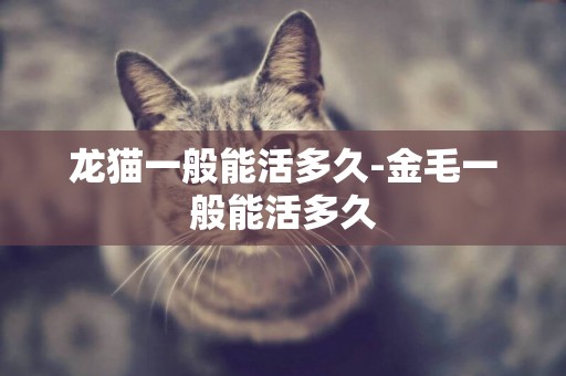 龍貓一般能活多久-金毛一般能活多久