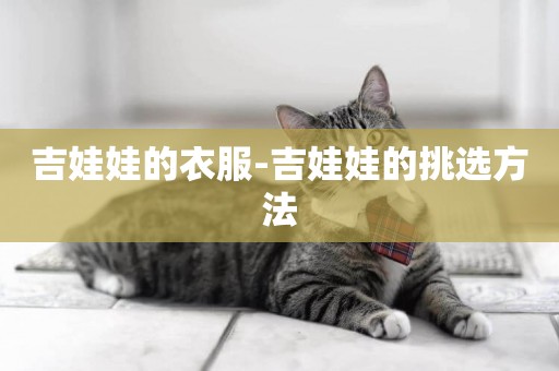 吉娃娃的衣服-吉娃娃的挑選方法