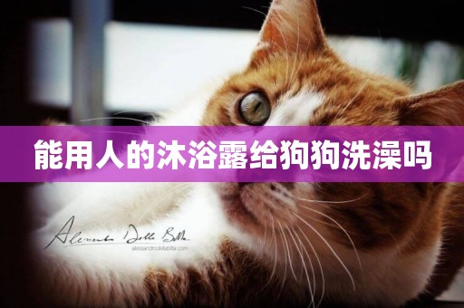 能用人的沐浴露給狗狗洗澡嗎