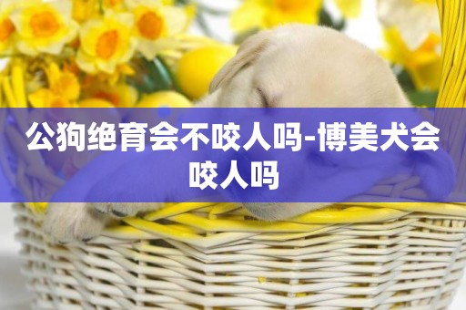 公狗絕育會不咬人嗎-博美犬會咬人嗎