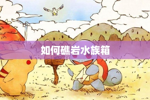 如何礁巖水族箱