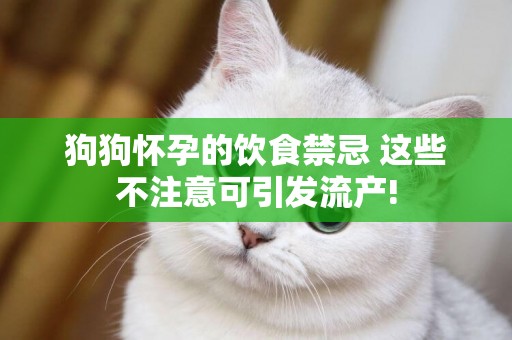 狗狗懷孕的飲食禁忌 這些不注意可引發流產!