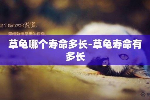 草龜哪個壽命多長-草龜壽命有多長