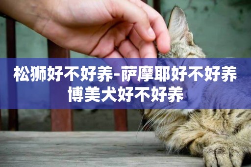 松獅好不好養-薩摩耶好不好養博美犬好不好養