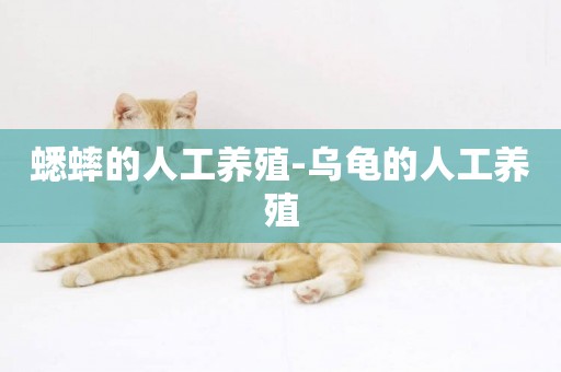 蟋蟀的人工養殖-烏龜的人工養殖