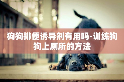 狗狗排便誘導劑有用嗎-訓練狗狗上廁所的方法