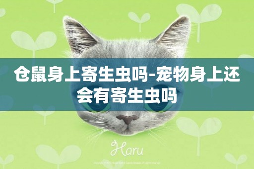 倉鼠身上寄生蟲嗎-寵物身上還會有寄生蟲嗎