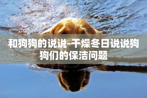 和狗狗的說說-干燥冬日說說狗狗們的保潔問題