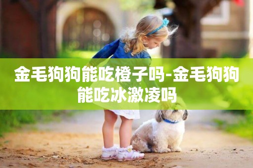 金毛狗狗能吃橙子嗎-金毛狗狗能吃冰激凌嗎
