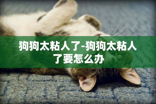 狗狗太粘人了-狗狗太粘人了要怎么辦