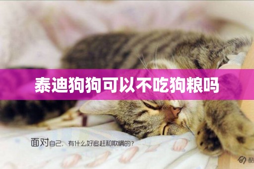 泰迪狗狗可以不吃狗糧嗎