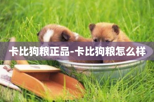 卡比狗糧正品-卡比狗糧怎么樣