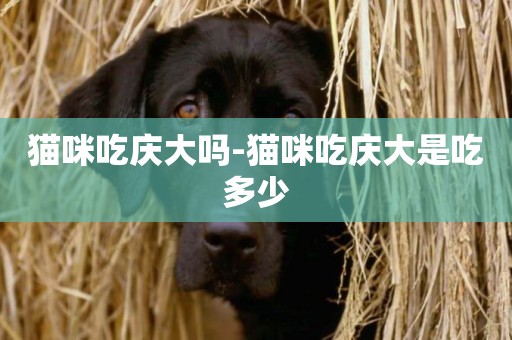 貓咪吃慶大嗎-貓咪吃慶大是吃多少
