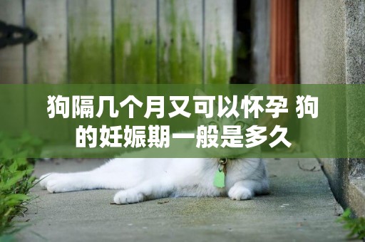 狗隔幾個月又可以懷孕 狗的妊娠期一般是多久