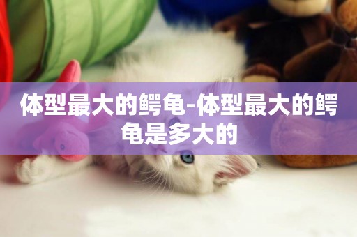 體型最大的鱷龜-體型最大的鱷龜是多大的