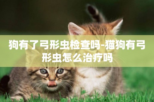 狗有了弓形蟲檢查嗎-貓狗有弓形蟲怎么治療嗎