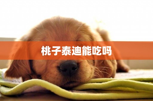 桃子泰迪能吃嗎