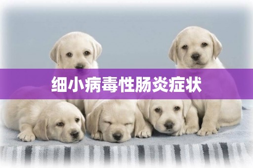 細小病毒性腸炎癥狀