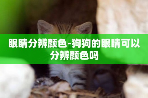 眼睛分辨顏色-狗狗的眼睛可以分辨顏色嗎