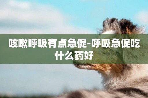 咳嗽呼吸有點急促-呼吸急促吃什么藥好