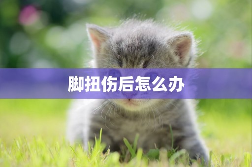 腳扭傷后怎么辦