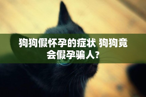 狗狗假懷孕的癥狀 狗狗竟會假孕騙人?