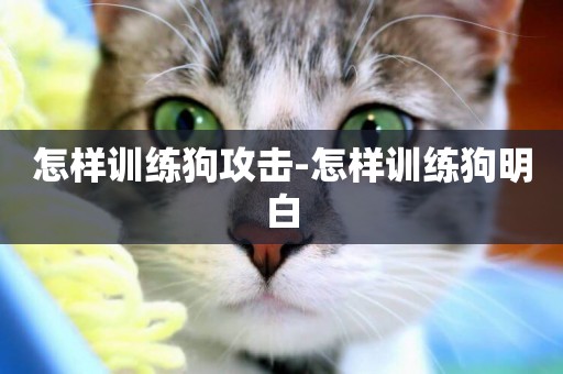 怎樣訓練狗攻擊-怎樣訓練狗明白