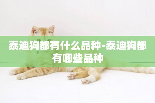 泰迪狗都有什么品種-泰迪狗都有哪些品種