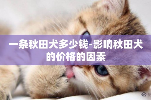一條秋田犬多少錢-影響秋田犬的價格的因素