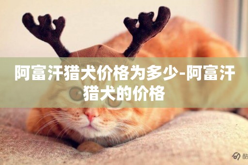 阿富汗獵犬價格為多少-阿富汗獵犬的價格