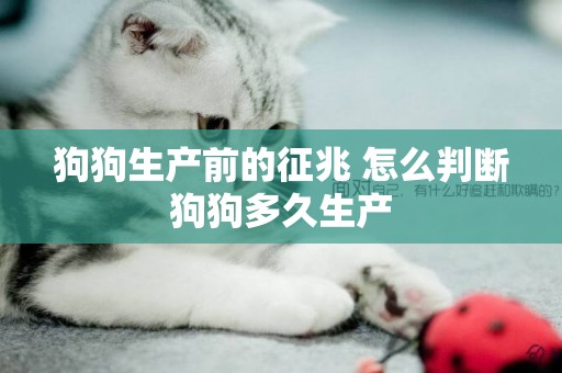 狗狗生產前的征兆 怎么判斷狗狗多久生產