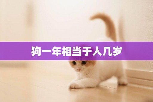 狗一年相當于人幾歲